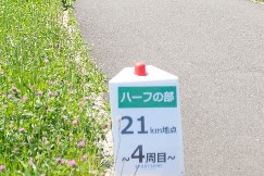 1㎞毎の距離表示