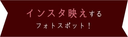 インスタ映えするフォトスポット！