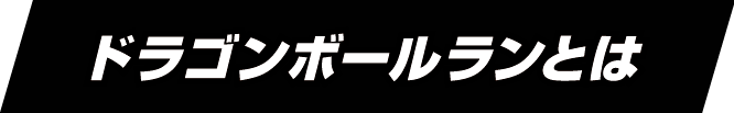 ドラゴンボールランとは