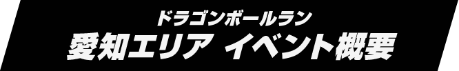 ドラゴンボールラン 愛知エリア