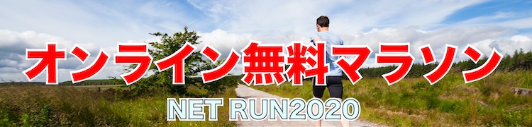 NET RUN2020 `ICŎQł閳}\`